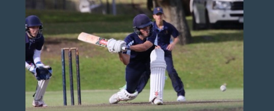 Club newsletter, November 2017